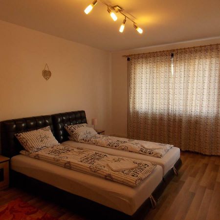 Morningstar Daire Sfântu-Gheorghe Dış mekan fotoğraf