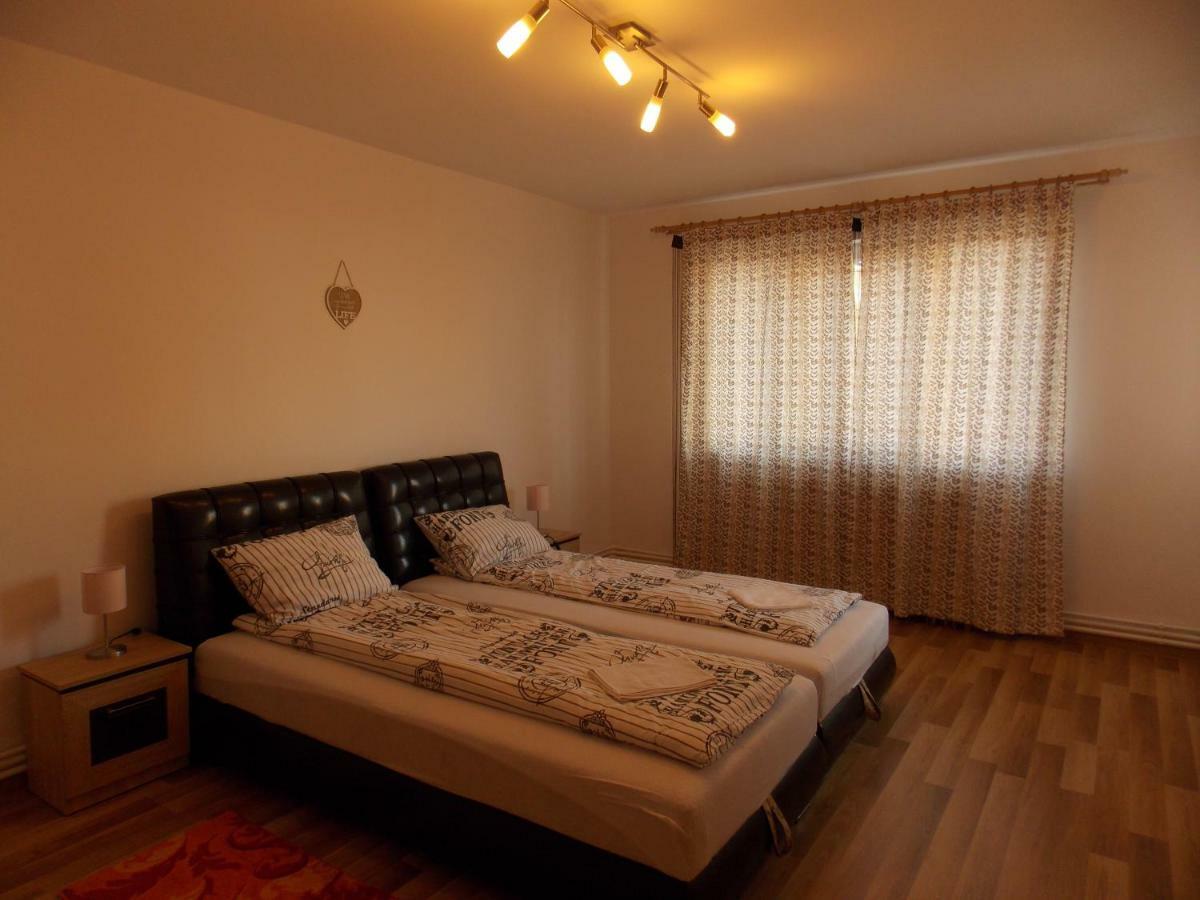 Morningstar Daire Sfântu-Gheorghe Dış mekan fotoğraf